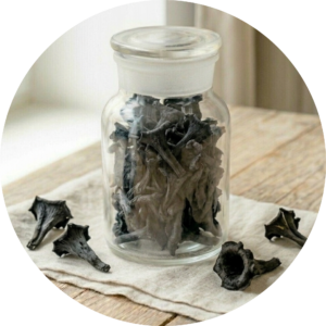 Herbsttrompeten getrocknet