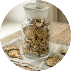 Austernpilze getrocknet