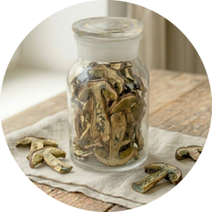 Maronenröhrling getrocknet